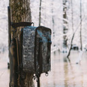 First Lite Hangar Pack on a tree image