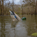 Jahpoo Flyway Deputy - Mallard Drake Motion Duck Decoy