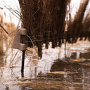  Fast Strike Complete Two-Arm Blind Lifestyle Closeup_2