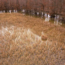 Fast Strike 2 Blind Package zoomed out image