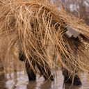 Fast Strike 2 Blind Package close up live image