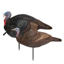 Primos Lil Gobstopper Hen and Jake Turkey Combo Image