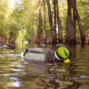 Higdon Outdoors Mallard Drake Finisher Swimmer PRO Motion Decoy In-the-Field Image
