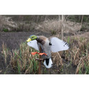 Higdon Outdoors Flasher PRO Drake Upright Position In Field Image.