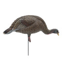Final Approach Live Feeder Hen Turkey Decoy Side Image