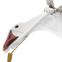 Close up head Image Sillosocks Blue Goose Wingbeat Power Flapper.