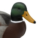 Drake head Image of Final Approach Last Pass Mallard.