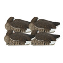 Image of the GHG Pro-Grade Specklebelly Sleeper Goose Decoys.