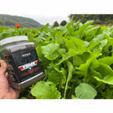 Image of Domain Wingman Food Plot Seed surrounded by plants.