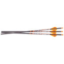 Image of the Ravin 400 Grain .001 Arrows.