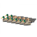 Image of the Mallard Oversize Duck Decoys 12 Pack.