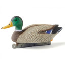 Image of the Image of the Mallard Oversize Duck Decoy Drake.