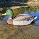 Drake Lifestyle Image of the G&H Decoys Premier Series Mallard Oversize Duck Decoys.