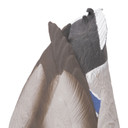 Drake Tail Image of the G&H Decoys Premier Series Mallard Duck Butt Feeder Decoys.