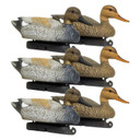 Six Pack Image of the G&H Decoys Premier Series Gadwall Duck Decoys.