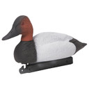 Drake Image of the G&H Decoys Premier Series Canvasback Duck Decoys.
