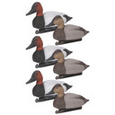 Six Pack Image of the G&H Decoys Premier Series Canvasback Duck Decoys.
