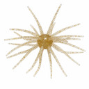 Image of Head Hunter Lures Spider Monkey in Golden Spark