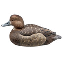 Hen Image of the Rig'Em Right Mainline Series Redhead Duck Decoys.