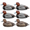 Six Pack Image of the Rig'Em Right Mainline Series Redhead Duck Decoys.