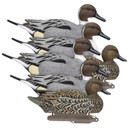 Image of the Higdon Legacy Magnum Pintail Foam Filled Decoys, 6 Pack.