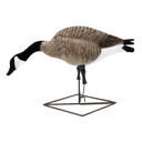 Long Neck Feeder Right Side Image of the Live Full-Body Honkers.