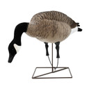 Bent Neck Feeder Left Side Image of the Live Full-Body Honkers.
