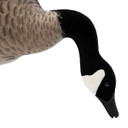 Bent Neck Feeder Head Image of the Live Full-Body Fully Flocked Honkers.