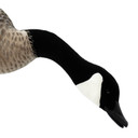 Long Neck Feeder Head Image of the Live Full-Body Fully Flocked Honkers.