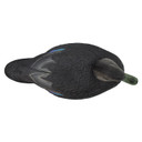 Top of Hen Image of the Oversized Live Black Duck Decoys.