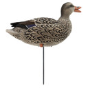 Upright Hen Image of the HD Full-Body Fully Flocked Mallard Duck Decoys.