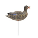 Side hen image of the HD Full Body Mallards with Flocked Head Drake.