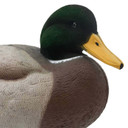 Close up face image of the HD Full Body Mallards with Flocked Head Drake.
