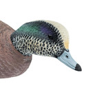 Feeder Drake Head Image of the HD Full Body Wigeon Duck Decoys.