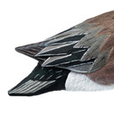 Tail Feather 2 Image of the HD Full Body Wigeon Duck Decoys.