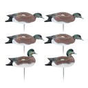 6 Pack Image of the HD Full Body Wigeon Duck Decoys.