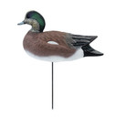 Left Side Upright Drake Image of the HD Full Body Wigeon Duck Decoys.
