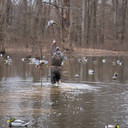 Field Image of the Flasher Pro Replacement Stake.