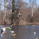 Field Image of the Flasher Pro Replacement Stake.