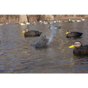 In Use Image of the Higdon Outdoors Pulsator PRO Black Duck Water Motion Decoy.