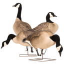 Image of the Dave Smith Decoys Maxima Honkers Fullbody, 4 Pack.
