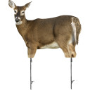 Image of the Montana Decoy Trixie Whitetail Doe Decoy.