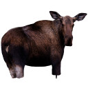 Image of the Montana Decoy Moose II Decoy