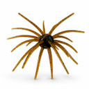 Image of the Head Hunter Lures Spider Monkey in Green Pumpkin
