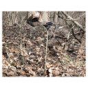 In use image of the GhostBlind Runner Blind 6-Panel.