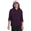 Image of the Under Armour Girls' Armour Fleece Hoodie in Purple Echo