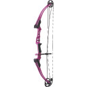 Image of the Trophy Ridge Sync MD Arrow Rest, Right Handed.