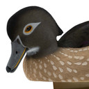 Hen head image of the Final Approach Live Fully Flocked Wood Ducks.