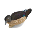 Tilted top hen image of the Final Approach Live Fully Flocked Wood Ducks.