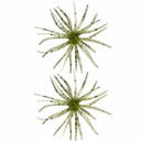 Image of the Head Hunter Lures Spider Monkey, 7mm